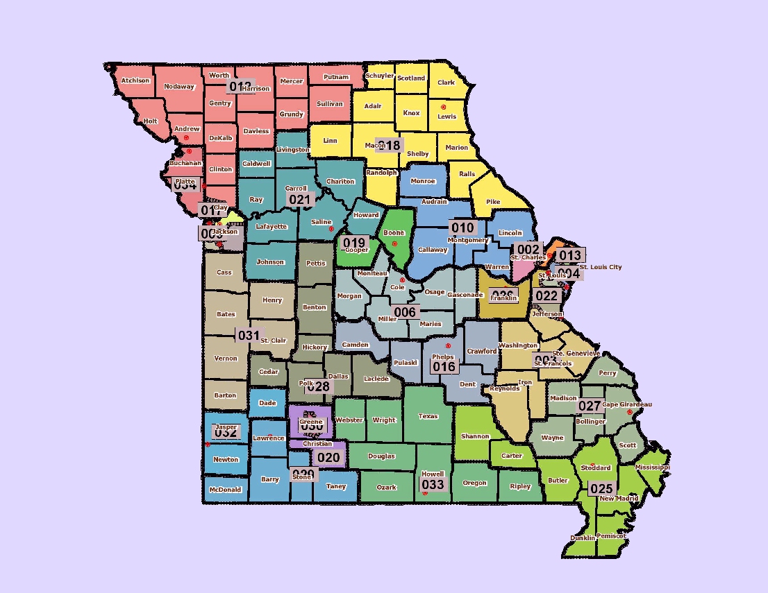 Statewide State Senate Districts